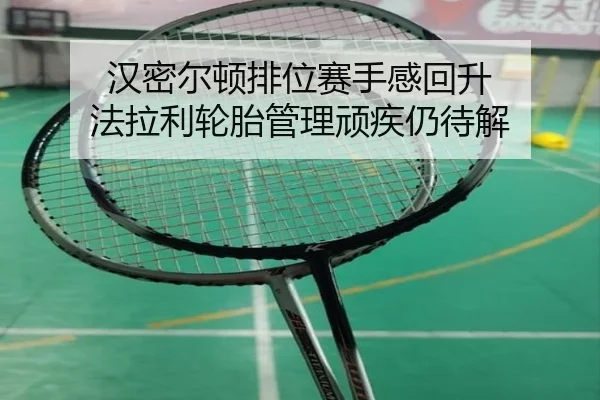 汉密尔顿排位赛手感回升 法拉利轮胎管理顽疾仍待解