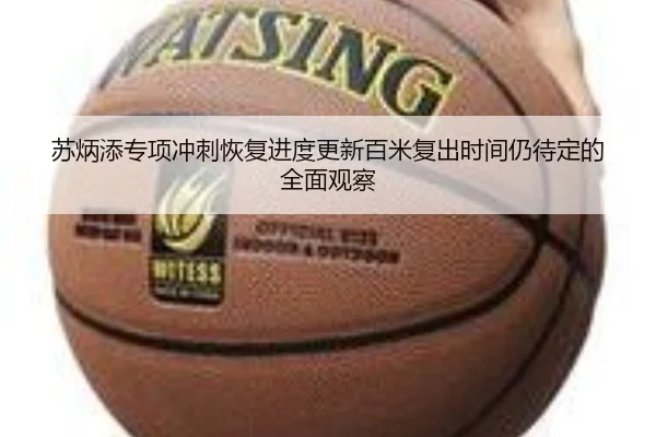 苏炳添专项冲刺恢复进度更新百米复出时间仍待定的全面观察