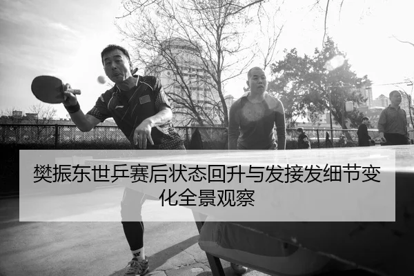 樊振东世乒赛后状态回升与发接发细节变化全景观察